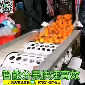 定制 全自動水果選果機新款滾筒分選機橙子桔子分級機貢柑柑橘機篩分機
