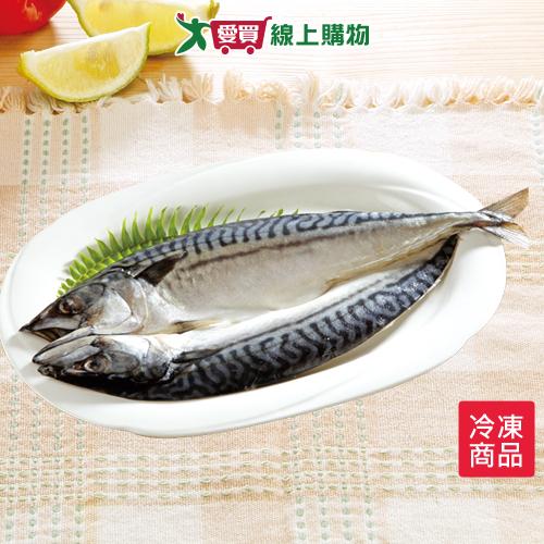 大西洋鯖魚一夜干300g±10%/包【愛買冷凍】