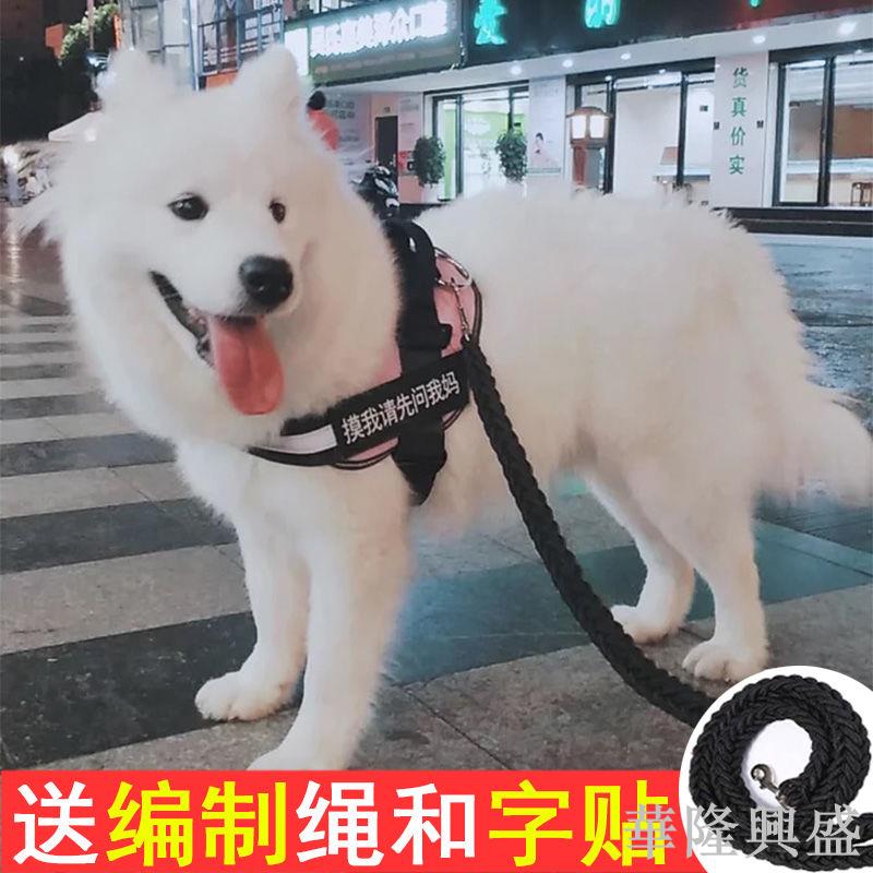 狗狗外出牽引繩胸背帶遛狗繩子金毛薩摩耶泰迪大中小型犬狗鏈用品