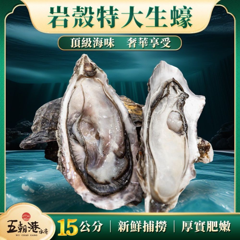 岩殼特大生蠔 15±2公分  海鮮 生鮮 生蠔 韓國半殼生蠔 快速到貨 優惠