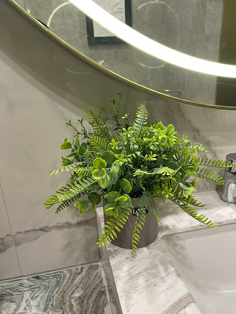 wo+模擬綠植室內桌面盆栽裝飾陽臺花架擺放尤加利蕨草假綠色植物