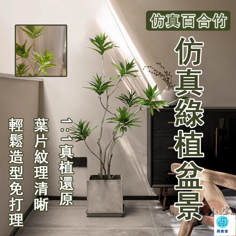 臺灣公司 工廠直銷 可開發票 【宅配免運】模擬百合竹 仿真植物 擺飾假花 落地盆栽 裝飾盆栽 假綠植 模擬綠植 客廳裝飾綠植 仿真植物盆栽店長推薦 新品特價 5z86
