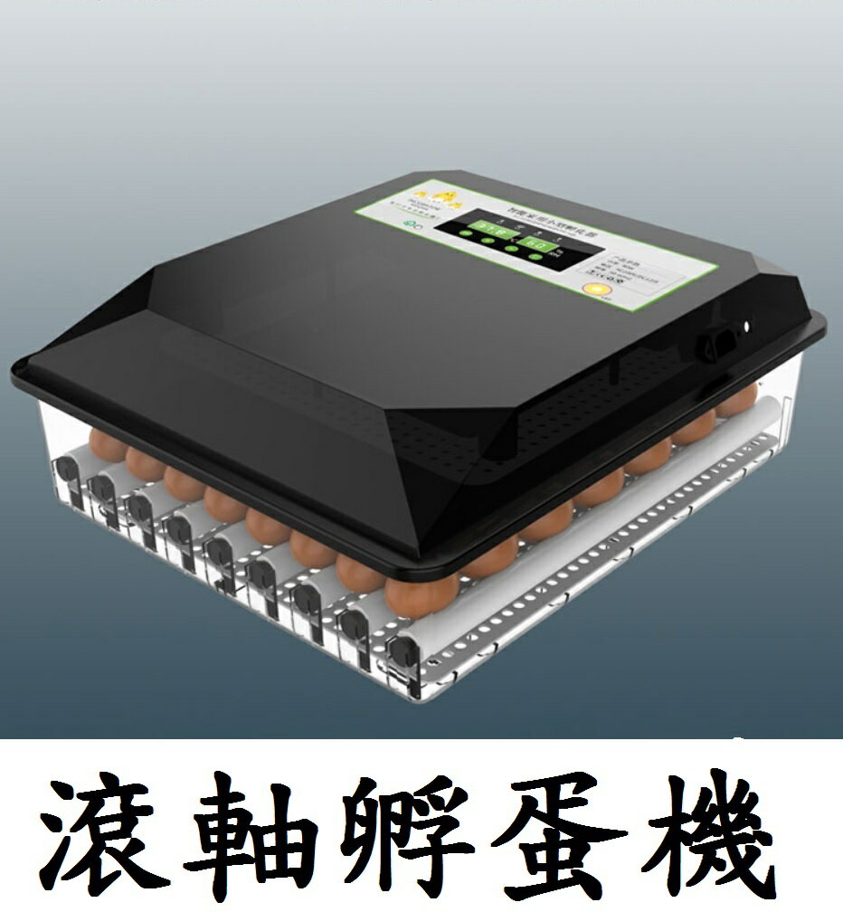 孵蛋機 保固半年雞鴨鵝鸚鵡110v 自動加濕全自動孵蛋器自動翻蛋孵蛋孵化孵化器 塔克網購直營店 樂天市場rakuten 孵蛋機 保固半年雞鴨鵝鸚鵡110v 自動加濕全自動孵蛋器自動翻蛋孵蛋孵化孵化器 塔克網購直營店 樂天市場rakuten
