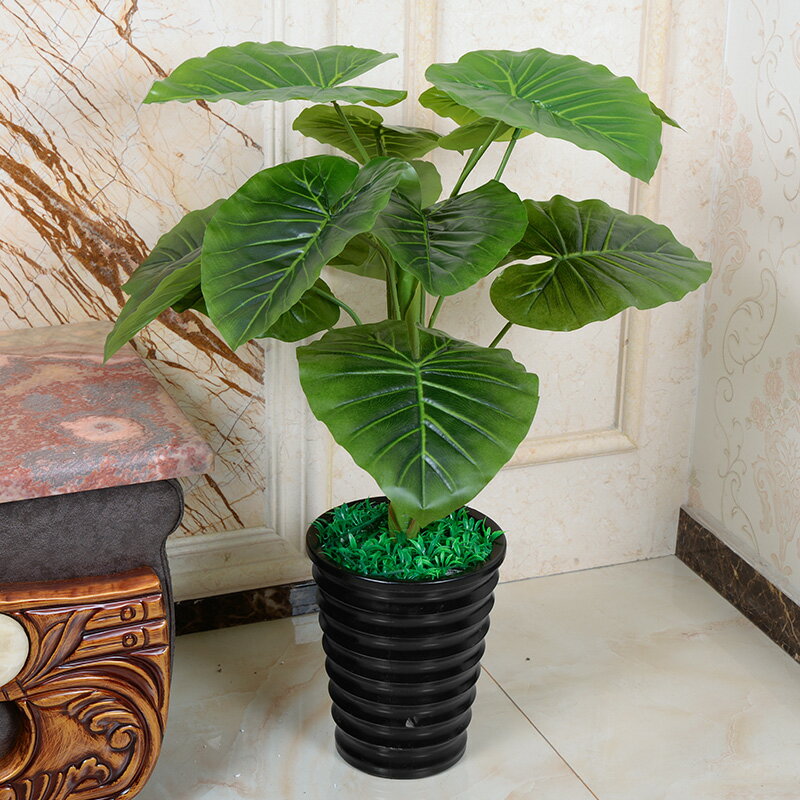 假樹滴水觀音仿真植物樹綠植盆栽景辦公室客廳酒店落地裝飾花室內
