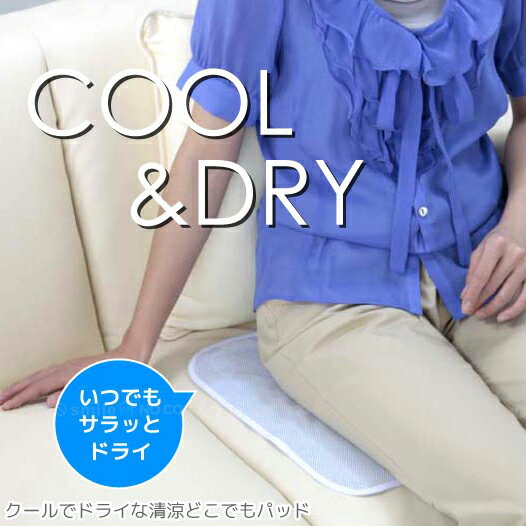 日本 FUJIPACKS COOL & DRY 涼感防汗坐墊 日本製