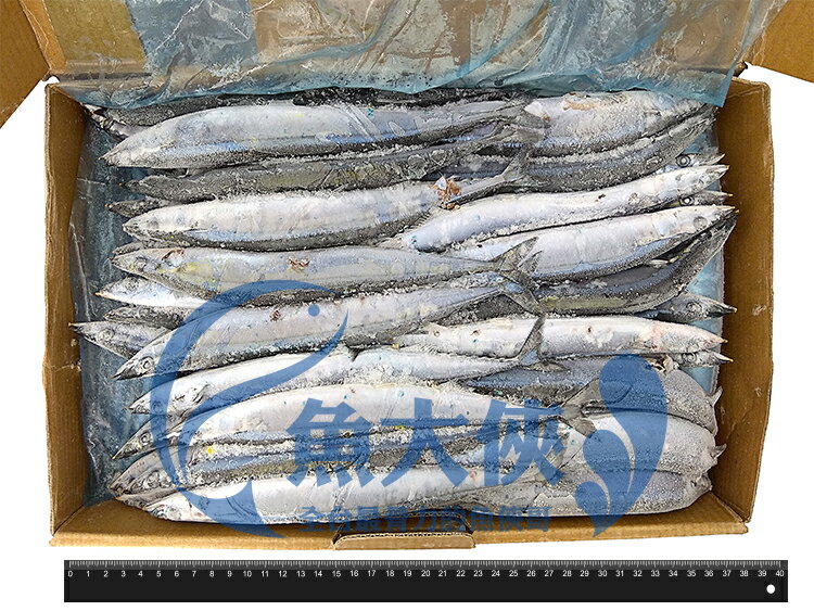 【魚大俠】FH045一號級秋刀魚(約70~80尾/件/10kg/件)