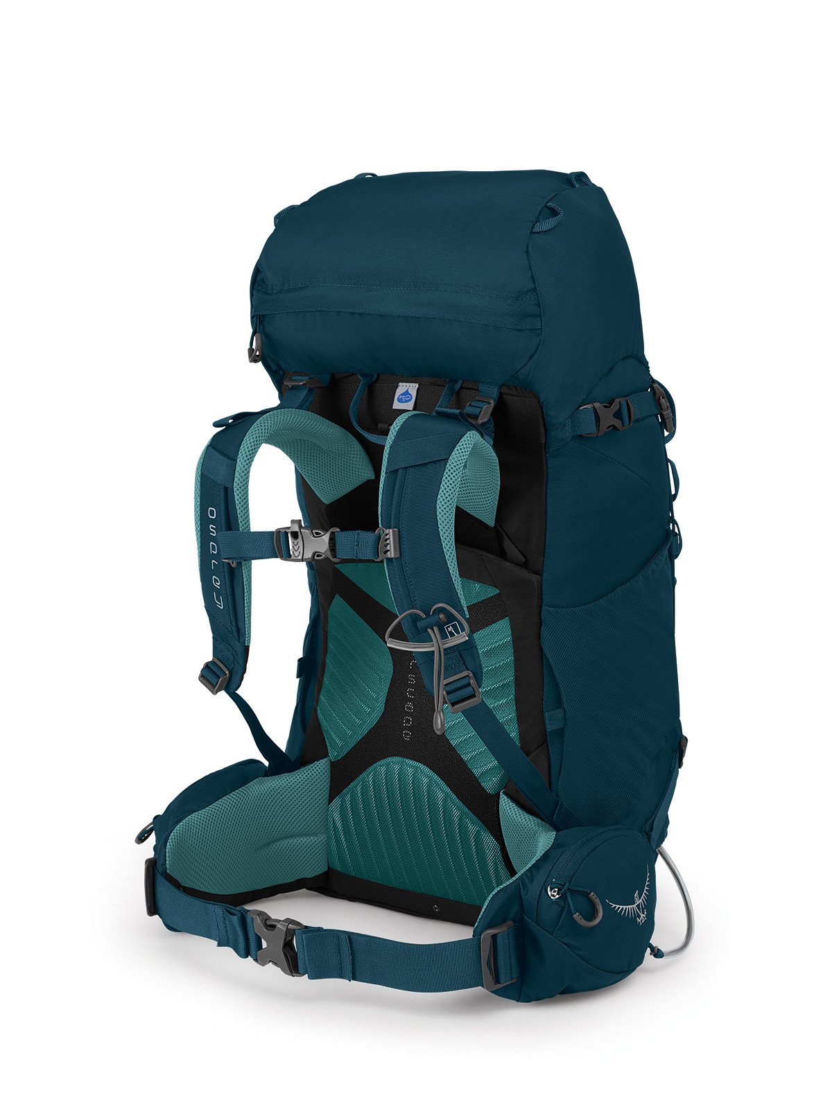 Osprey 36l best sale