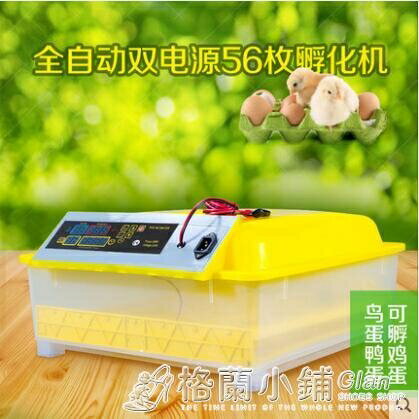 孵化機全自動小型家用型小雞蛋孵化器鴨子鴿子鳥蛋孵化箱孵蛋器ATF 格蘭小舖220V 全館免運