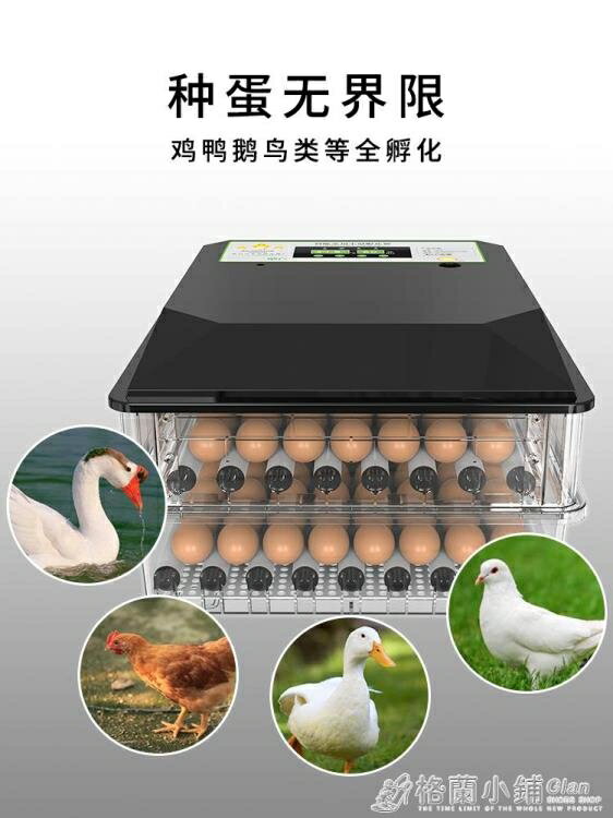 小雞鵝鸚鵡蛋可孵化箱孵蛋孵化器小型家用型水床孵化機全自動智慧ATF 格蘭小舖220V 全館免運