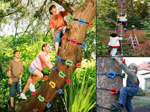 爬樹神器 岩點 自主訓練 攀樹裝備 運動器材 攀爬抓手岩 攀巖石 腳扎子 爬樹專用 爬杆器 兒童體能運動 園林爬樹 獎品