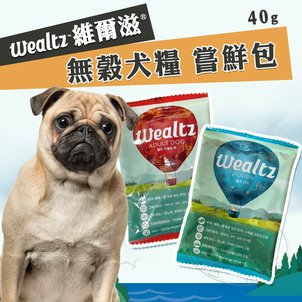 【樂寶館】Wealtz 維爾滋 ∣嚐鮮包∣ 40g 天然無穀犬飼料 韓國品牌飼料 寵物飼料 狗糧