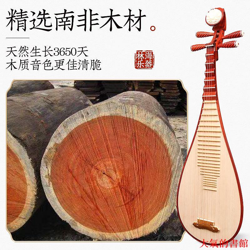 樂器林海兒童琵琶樂器考級專用初學者入門級花梨木成人演奏紅木琵琶琴
