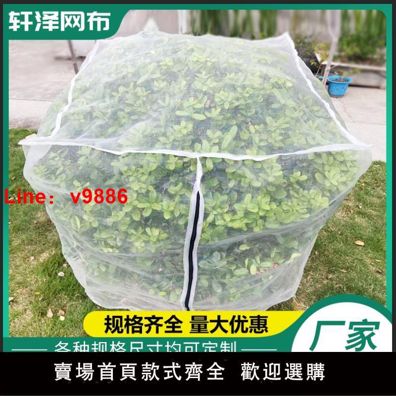 【臺灣公司 可開發票】楊梅網罩櫻桃防蟲防風防鳥網水果樹罩多肉蓮霧桃樹羅幔大棚專用罩