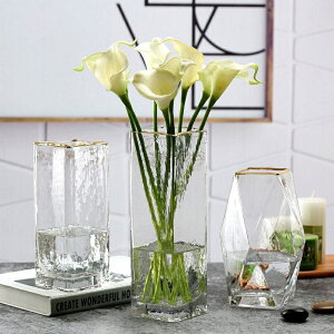 歐式簡約創意富貴竹玻璃花瓶透明方缸水養百合滿天星干鮮花插花盆