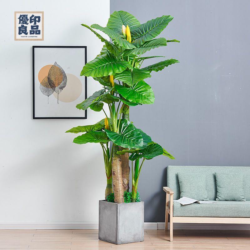 免運 工廠現貨 模擬樹 模擬綠植 仿真植物 裝飾假樹 假樹滴水觀音模擬綠植假植物大型盆栽客廳辦公室內假花落地式裝飾免運 工廠現貨 模擬樹 模擬綠植 仿真植物 裝飾假樹免運/可開發票 工廠直銷 特價出 y5418
