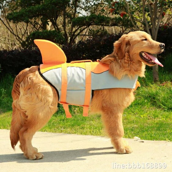 寵物泳衣 狗狗救生衣金毛小狗柯基泰迪小型拉布拉多大型犬泳衣寵物游泳圈 瑪麗蘇