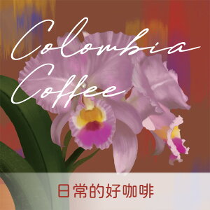 哥倫比亞 波亞卡小農精選【 Nikkoffee日光咖啡】