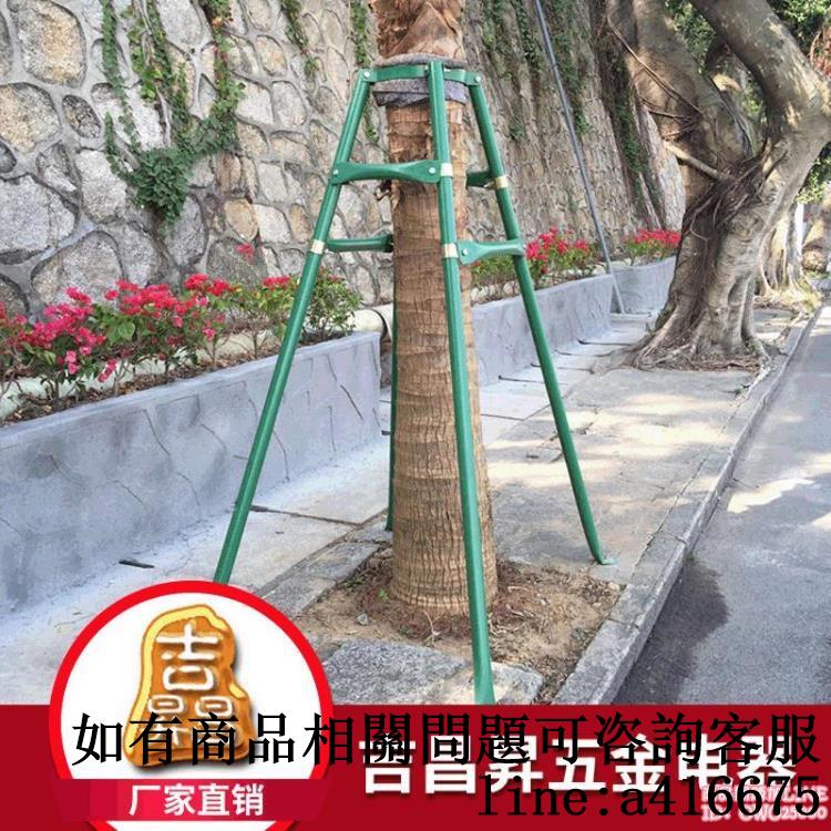 【店長推薦】樹木支撐架 公路綠化樹木鐵支撐園林鋼管防風防倒支撐桿定製