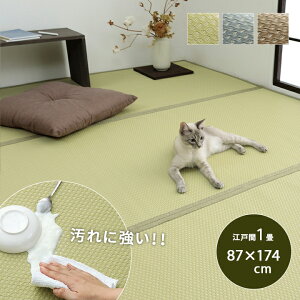 日本代購 空運 IKEHIKO 日本製 榻榻米風 地墊 87x174cm PP製 草蓆 雙面可用 可水洗 地毯 寵物墊