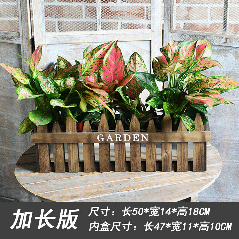 11c6ed96c30242ac110005.jpg
