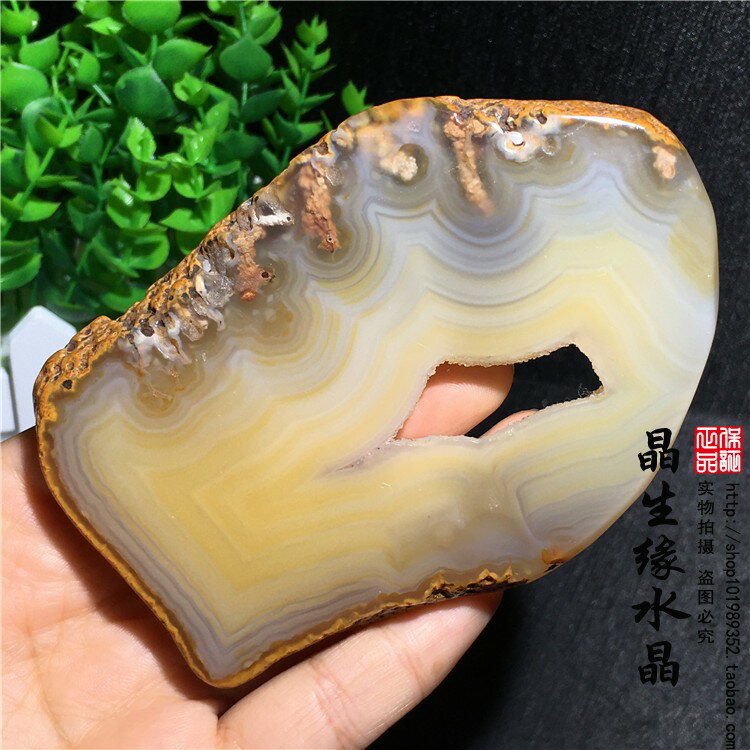 天然瑪瑙片切片小標本擺件實物圖多款可選