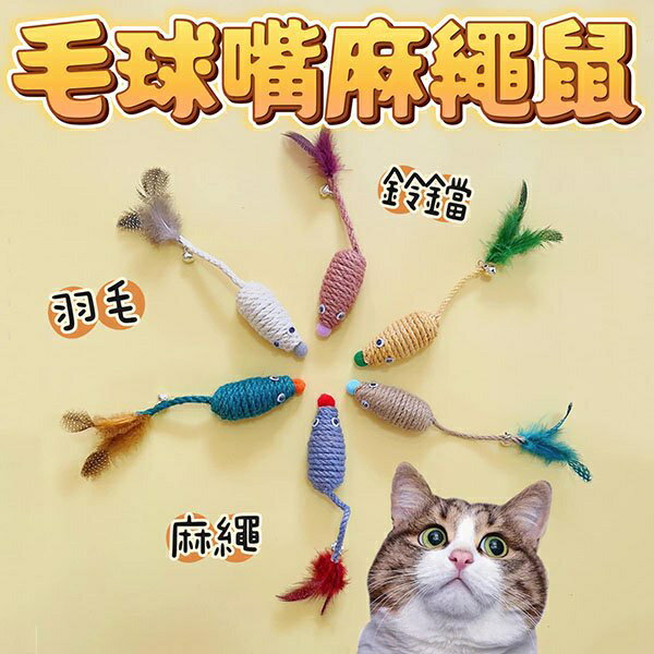『臺灣x現貨秒出』毛球嘴羽毛麻繩玩具 羽毛玩具 貓咪玩具 貓玩具 寵物玩具 逗貓玩具 貓貓玩具