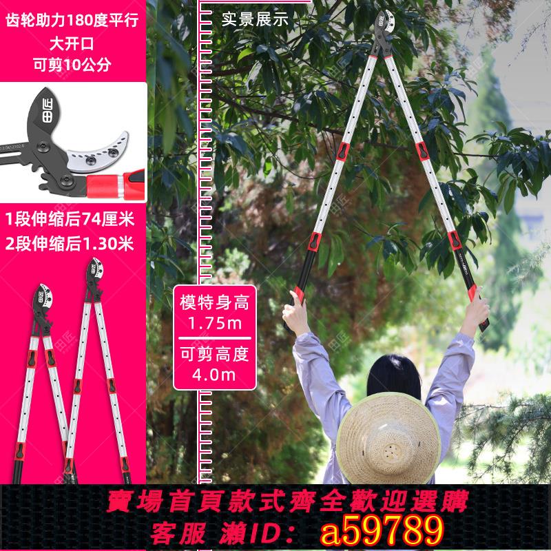 【臺灣公司 可打統編】新款日本進口齒輪加強大力剪果樹園林伸縮粗枝剪強力園藝樹枝剪刀