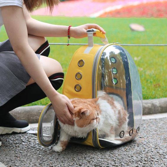 貓包外出便攜透明貓咪背包太空艙寵物包攜帶貓外出包雙肩書包用品 【麥田印象】