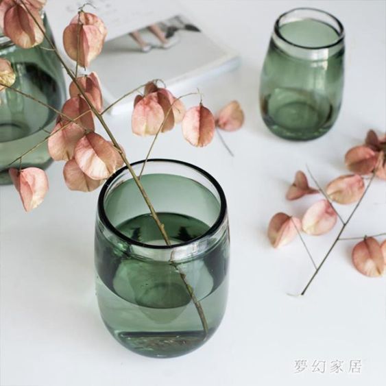南十字星加厚透明玻璃花瓶北歐清新客廳餐桌水培植物花器鬆綠QW3604 【麥田印象】