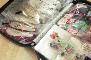 蒐藏家-韓版防水內衣襪子整理袋 旅行必備收納袋 行李分類袋 14枚入
