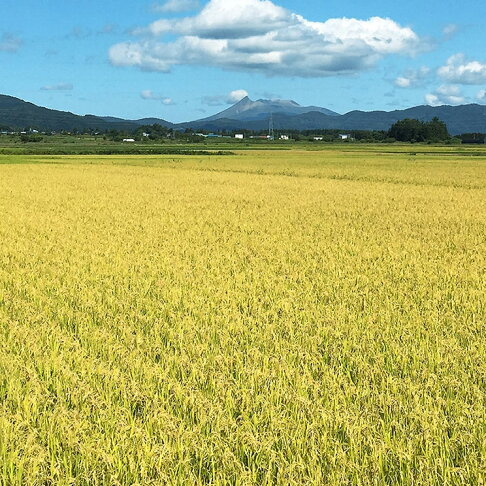 【現碾 日本米】 北海道 福臨米五公斤、十公斤 日本米 俵屋 ️ ️2023新米入庫囉!!! ️ ️ 囍米 婚禮小物 送禮 | 三代目俵屋玄兵 ...