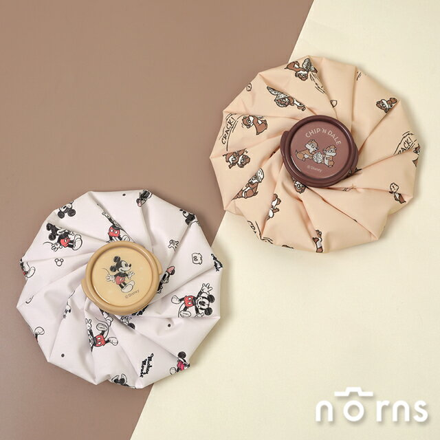 迪士尼冷暖兩用水袋- Norns Original Design Disney小熊維尼 三眼怪 玩具總動員 退熱冰敷袋 熱敷袋 熱敷墊