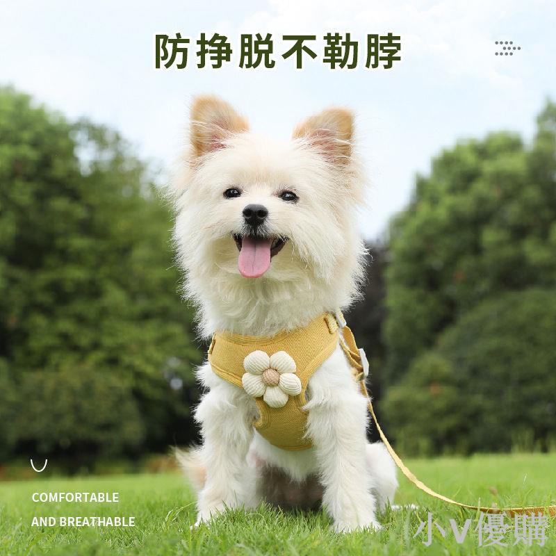 小狗狗牽引繩背心式小型幼犬泰迪比熊博美胸背帶狗鏈子外出遛狗繩