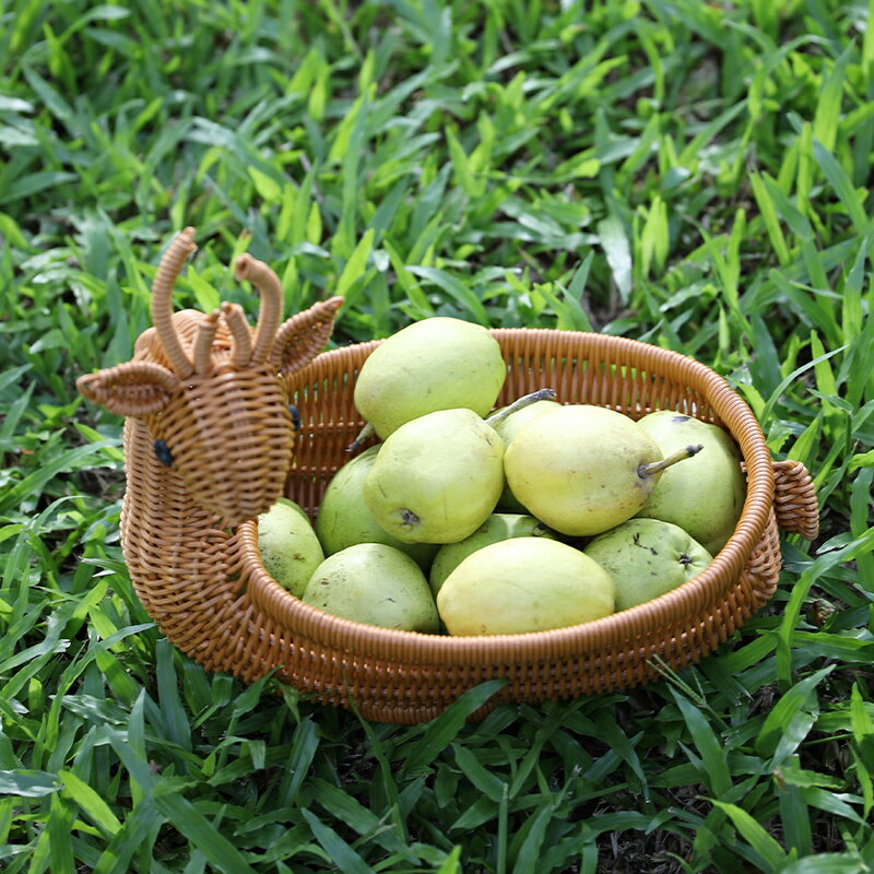 創意動物形狀水果籃塑膠仿藤編籃子客廳糖果零食筐乾果點心收納筐