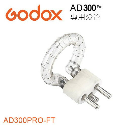 【EC數位】Godox 神牛 AD300pro 閃光燈 AD300PRO-FT 原廠 外拍燈 攝影燈