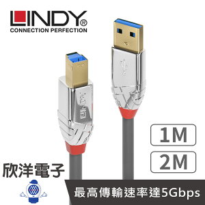 ※ 欣洋電子 ※ LINDY林帝 USB3.0線 Type-A對B USB3.0 TYPE-A 公 TO TYPE-B 公 傳輸線 1M(36661) 2M(36662)
