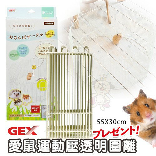 日本GEX 愛鼠運動壓透明圍離66063 在家也能讓寵物鼠活動娛樂『WANG』