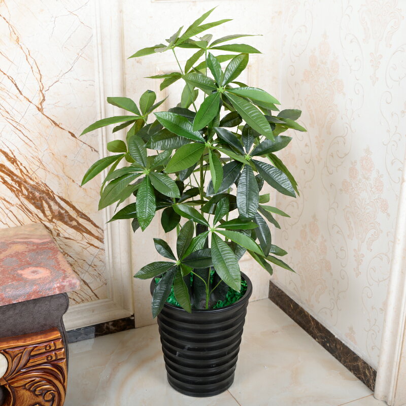 假樹小樹墩發財樹仿真植物樹綠植盆栽景客廳辦公室落地塑膠裝飾花