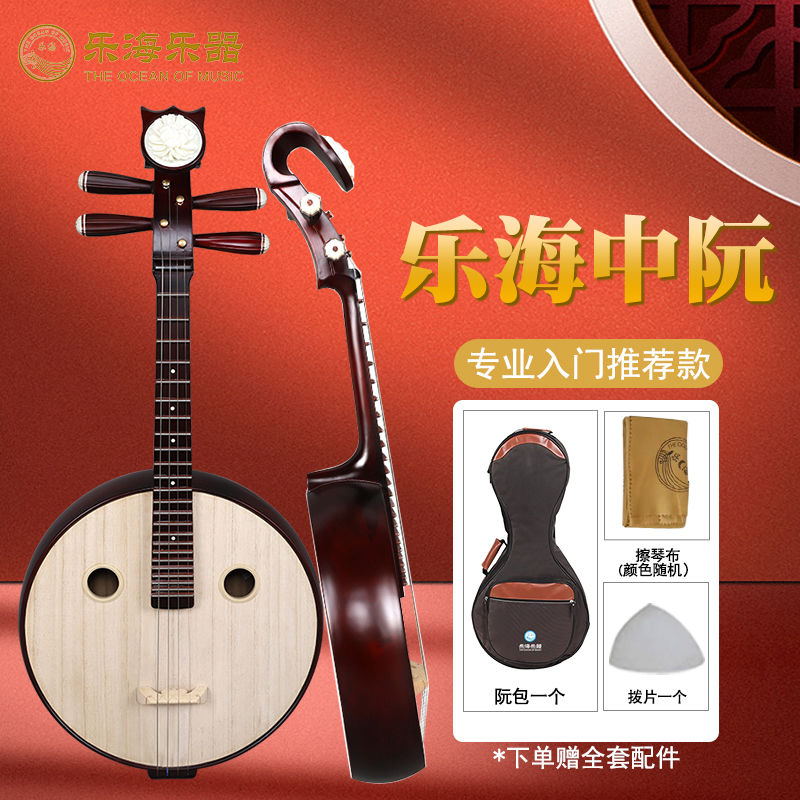 樂海中阮樂器初學者入門硬木骨花鋼品專業阮琴素面典雅511
