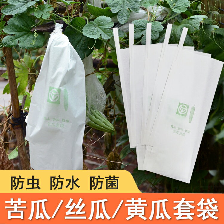 防蟲袋 水果套袋 絲瓜黃瓜青瓜苦瓜套袋專用袋防蟲袋子保護套紙袋防水瓜果蔬菜水果【MJ23552】