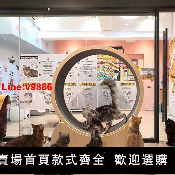 【臺灣公司 超低價】貓咪跑步機運動跑輪寵物健身轉盤實木滾輪貓爬架子靜音滾筒貓玩具