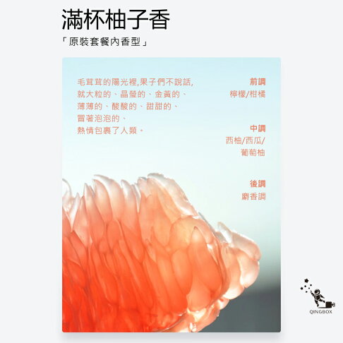 Daily Lab 小金條系列特斯拉車載香氛DLCX3014 適配Tesla Model 3 或 Model Y 雙支套裝組【APP享6%回饋】 8