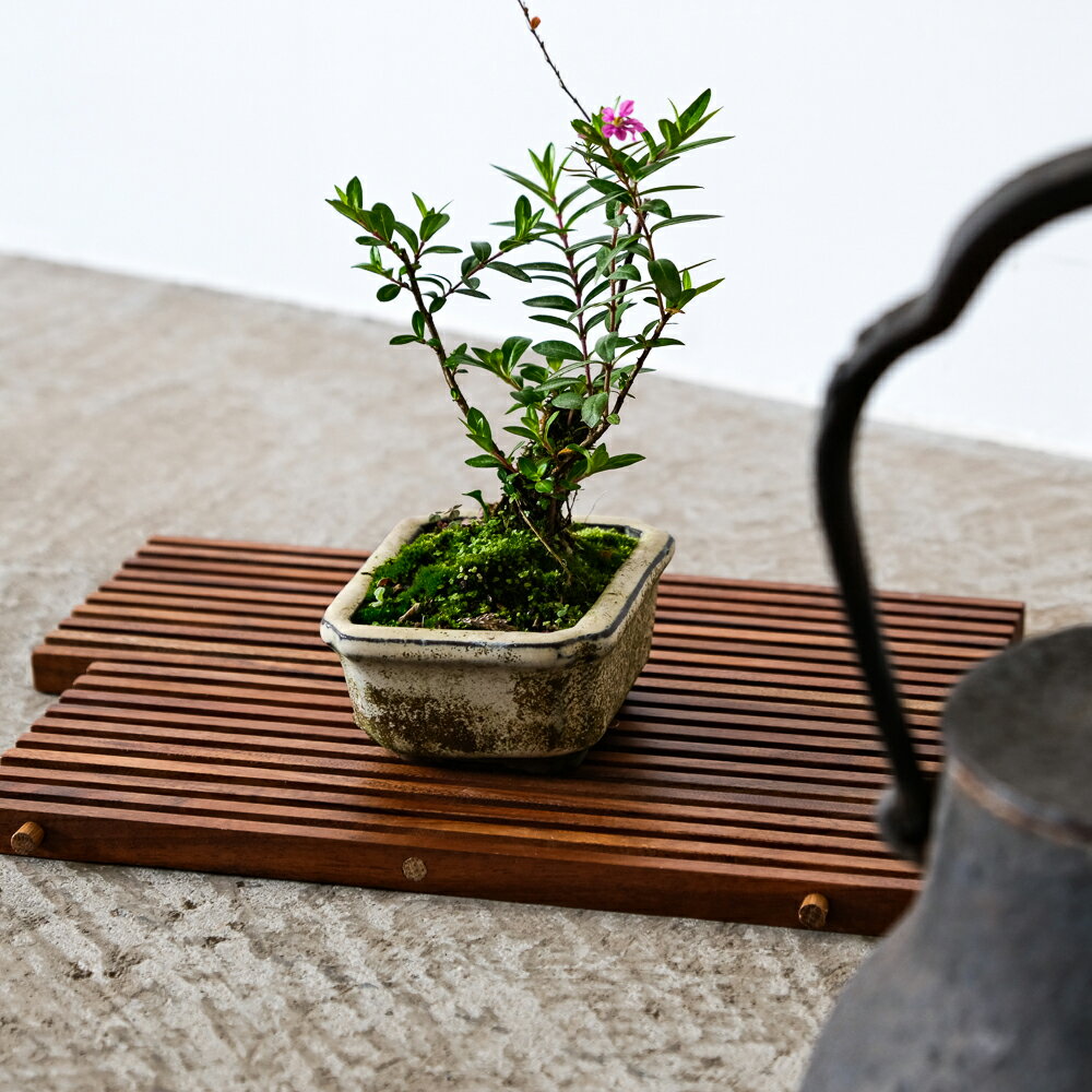 竹拼型花墊花台花架小品盆栽展示台盆栽架展示台竹敷板茶道具茶盤實木製