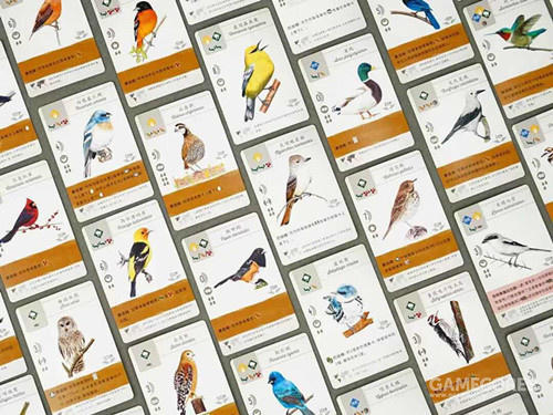 展翅翱翔 Wingspan 繁體中文版 高雄龐奇桌遊 正版桌遊專賣 More Fun 5