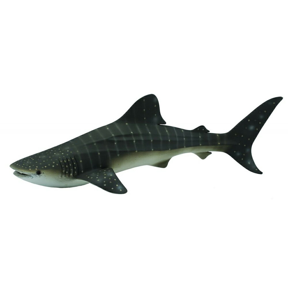 動物模型《COLLECTA》鯨鯊