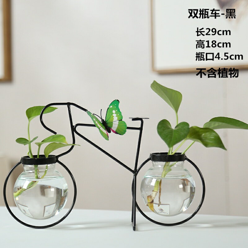 【優選百貨】透明玻璃花瓶鐵藝水培植物容器綠蘿水養花瓶客廳創意擺件裝飾器皿