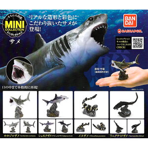 全套4款【日本正版】生物大圖鑑 鯊魚篇 扭蛋 轉蛋 深海鯊魚 獵捕者 動物模型 BANDAI 萬代 - 939092