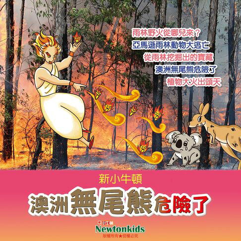澳洲無尾熊危險了【有聲書】