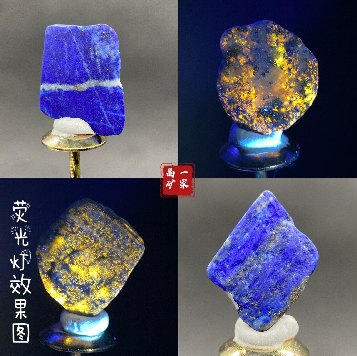 青金石金色熒光方鈉石共生天然礦物晶體盒子貓礦擺件教學科普標本