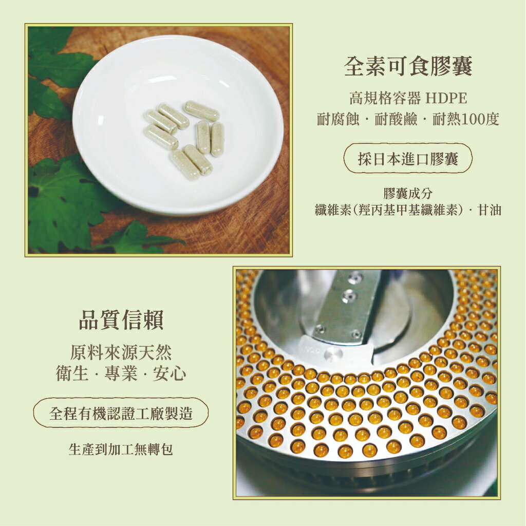 山苦瓜粉膠囊「🔺120粒」⎪淺草堂直營店⎪純天然無添加⎪山苦瓜第一領導品牌⎪正宗綠皮⎪銷售冠軍🏆 5